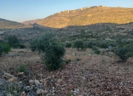 أرض للبيع 700 متر مربع