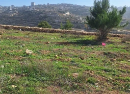 أرض للبيع 500متر مربع