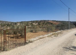 أرض للبيع 1000 متر