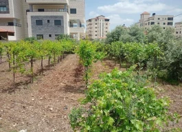 أرض للبيع 771 متر مربع