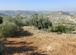 أرض للبيع 870متر مربع