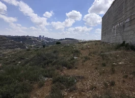 أرض للبيع 1 دونم