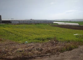 أرض للبيع 2 دونم