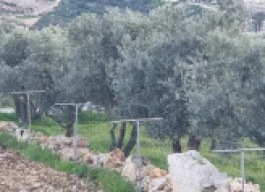 أرض للبيع 1600 متر مربع