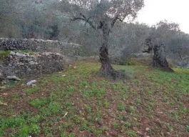 أرض للبيع ثلاث دونمات وربع