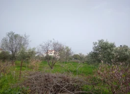 أرض للبيع 6 دونم