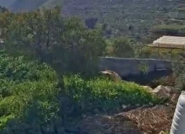 أرض للبيع 883 متر مربع