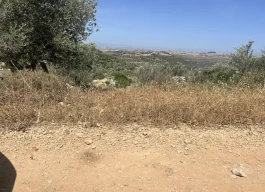 أرض للبيع 650 متر مربع