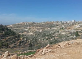 أرض للبيع 2 دونم