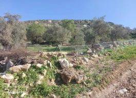 أرض للبيع 463 متر مربع