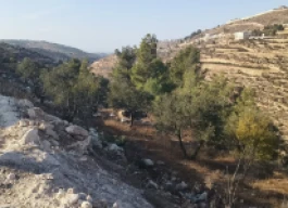 أرض للبيع دونم