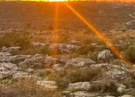 أرض للبيع 1150 متر مربع