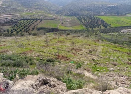 أرض للبيع680متر مربع