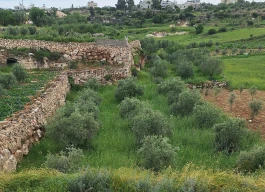 أرض للبيع 1378 متر مربع