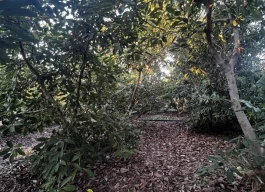 أرض للبيع 1400متر مربع