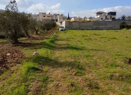 أرض للبيع 1556 متر مربع