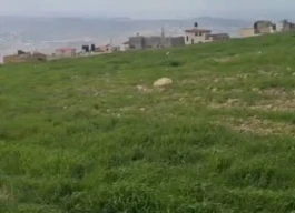 أرض للبيع 14 دونم و600متر