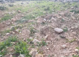 أرض للبيع 500 متر مربع