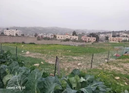 أرض للبيع 514 متر مربع