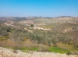 أرض للبيع 1000متر مربع