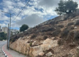 أرض للبيع 1400م²