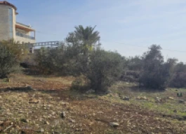 أرض للبيع 500 متر مربع