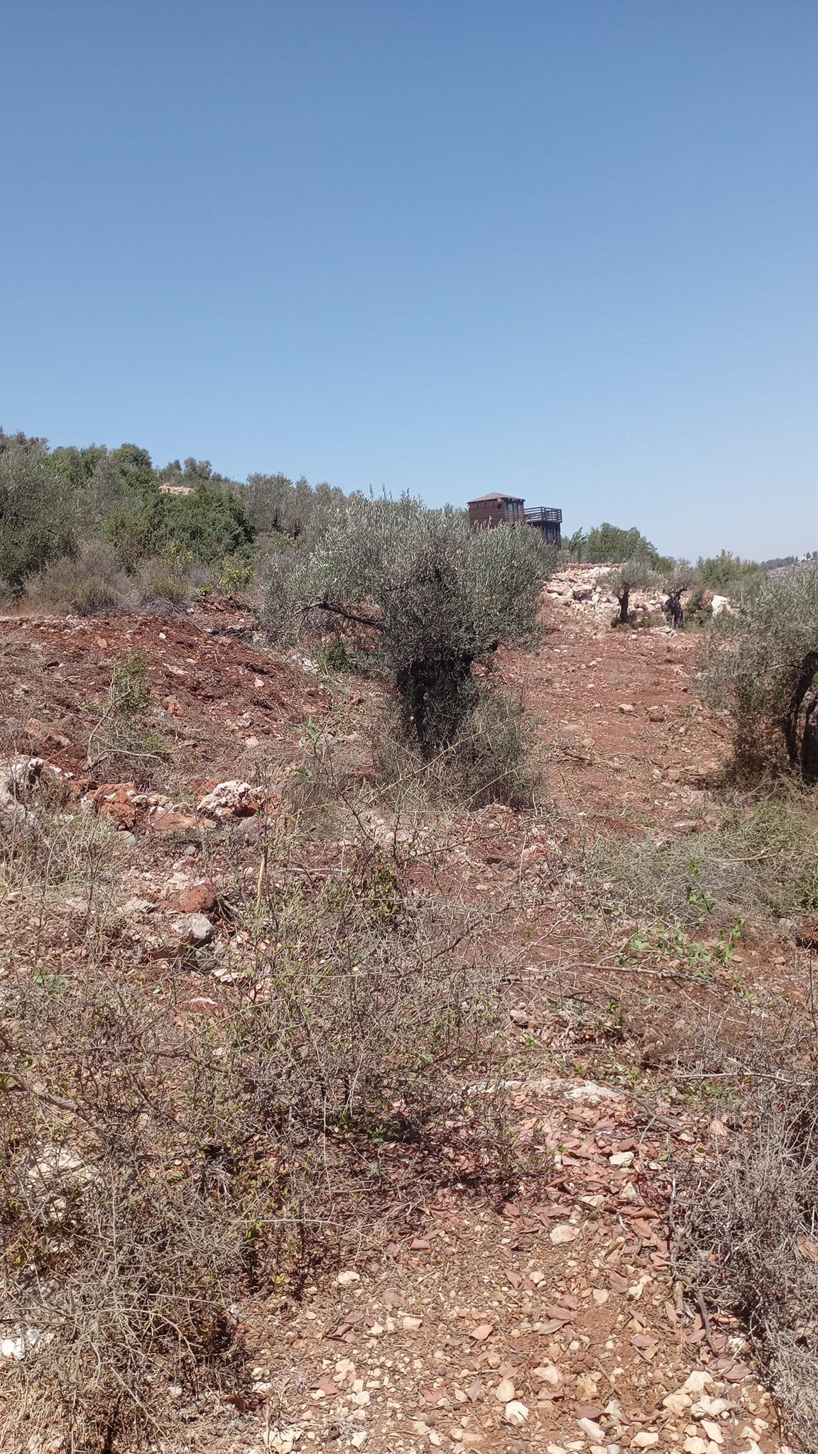 أرض للبيع 500 متر مربع