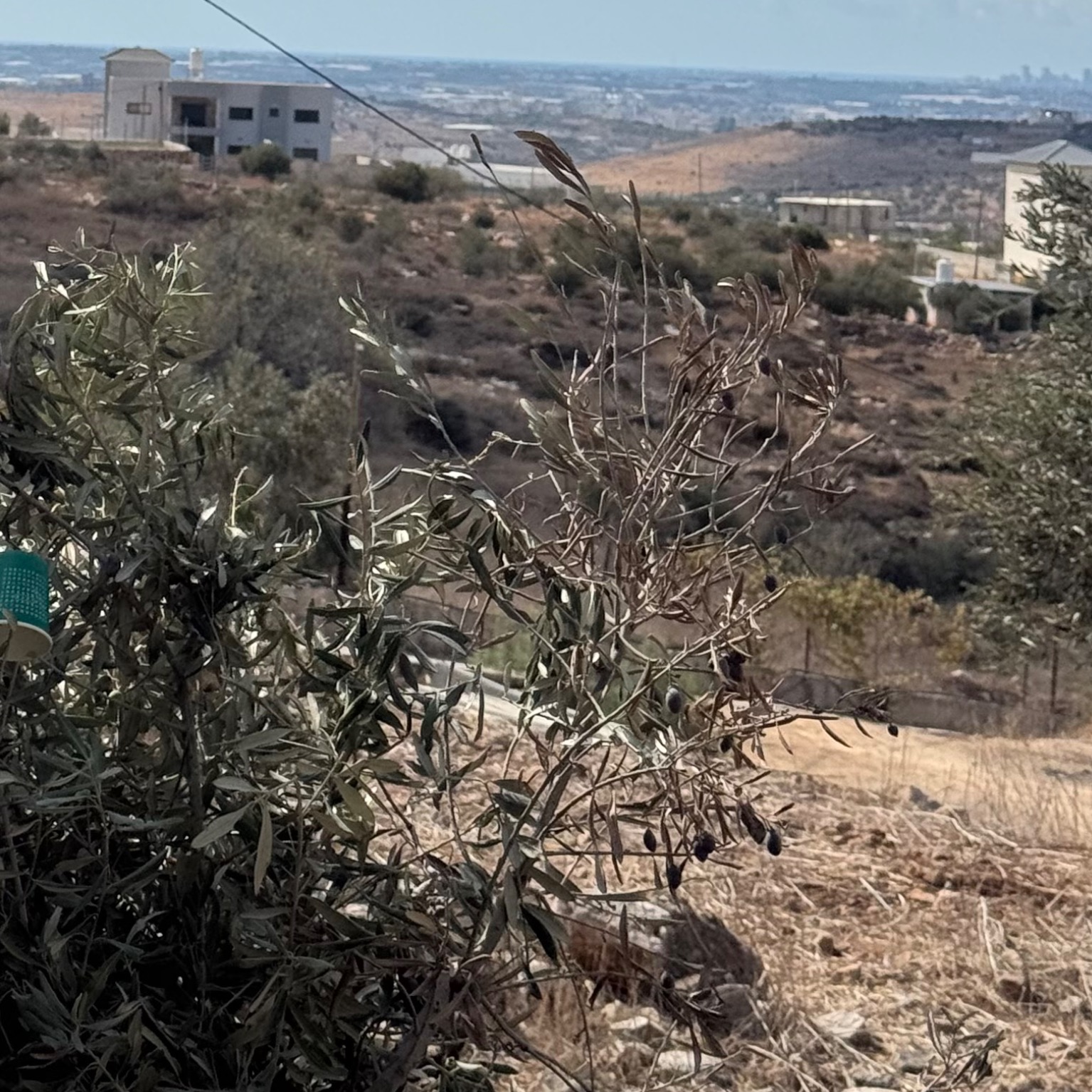 أرض للبيع 8 دونمات