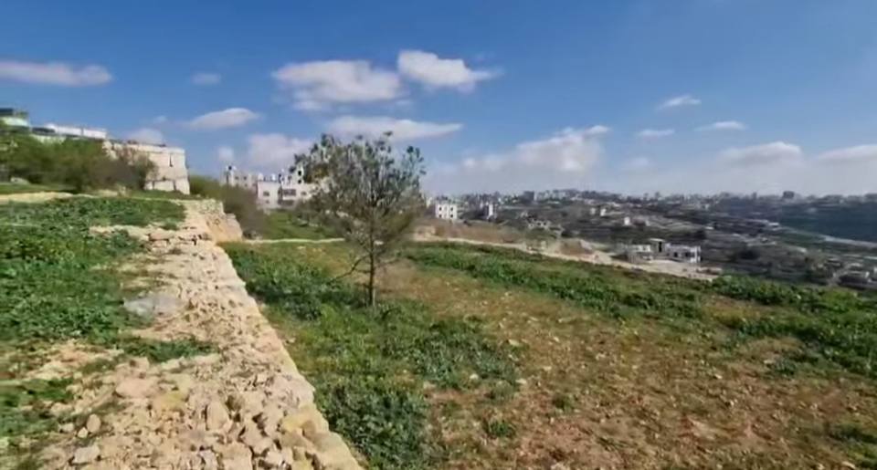 أرض للبيع 2 دونم و300 متر مربع