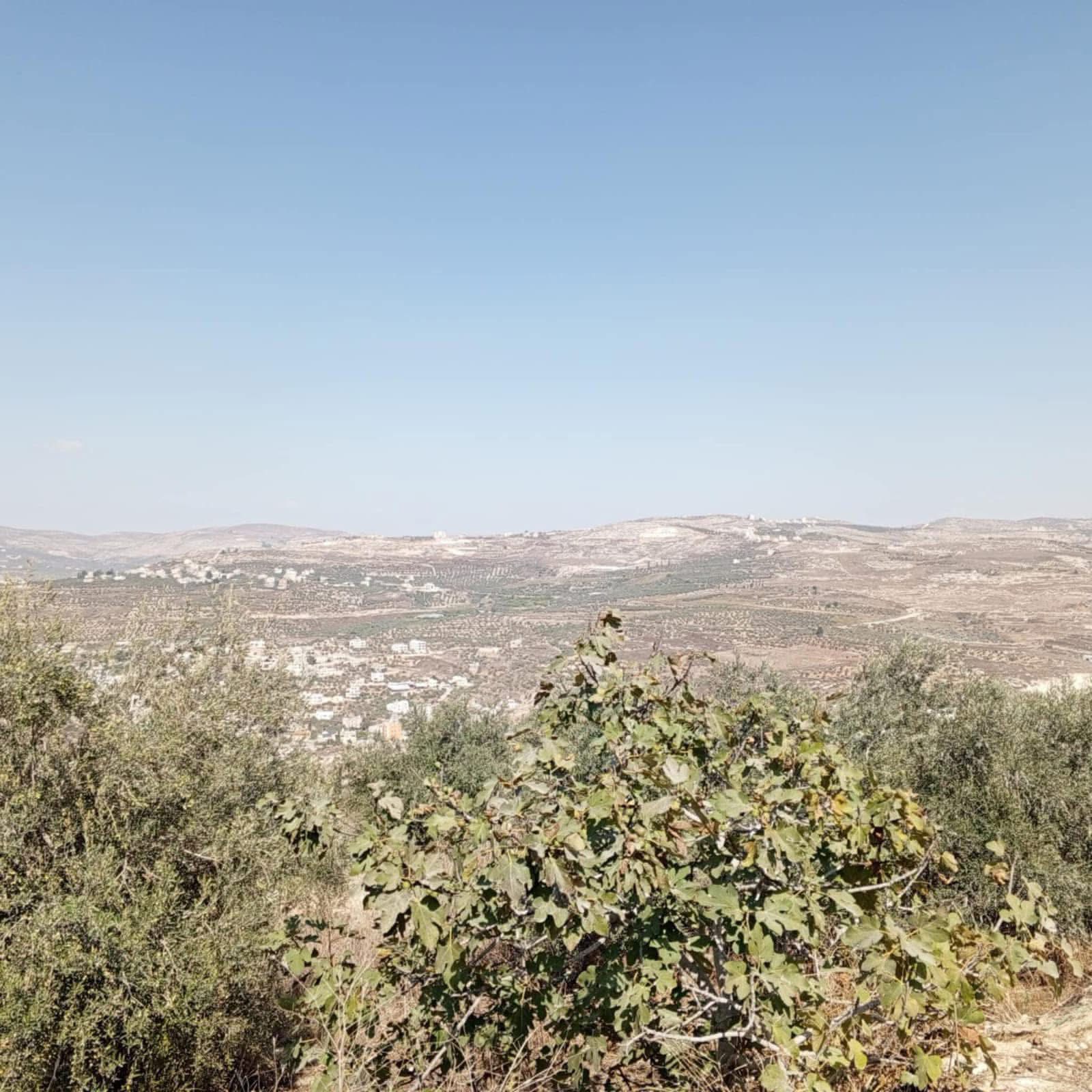 أرض للبيع 2200 متر مربع