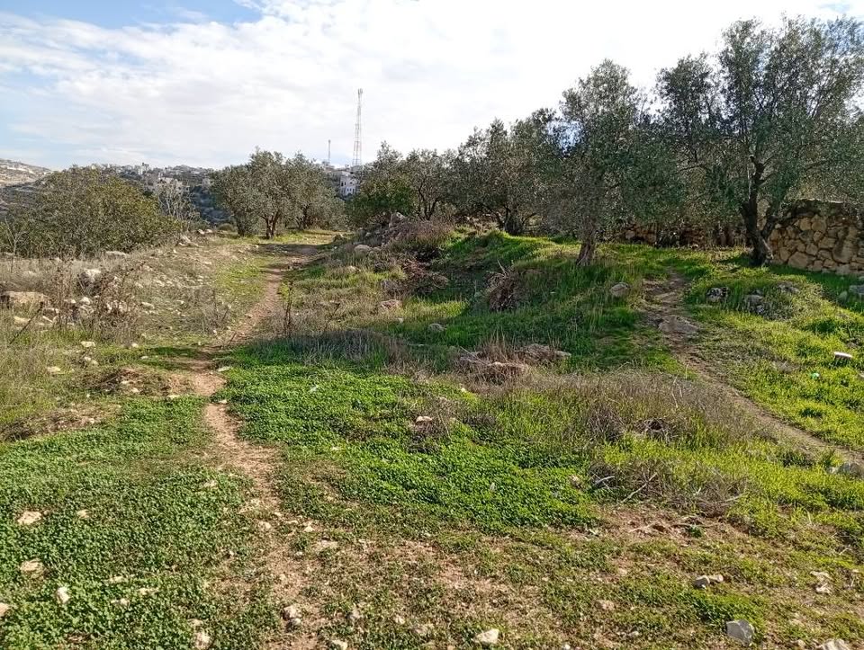 أرض للبيع 320متر مربع