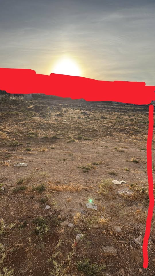 أرض للبيع دنم او 40 (طابو)