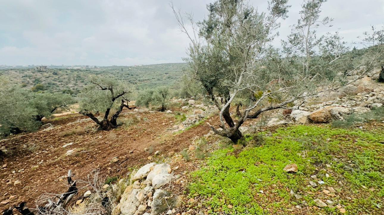 أرض للبيع 600 متر مربع