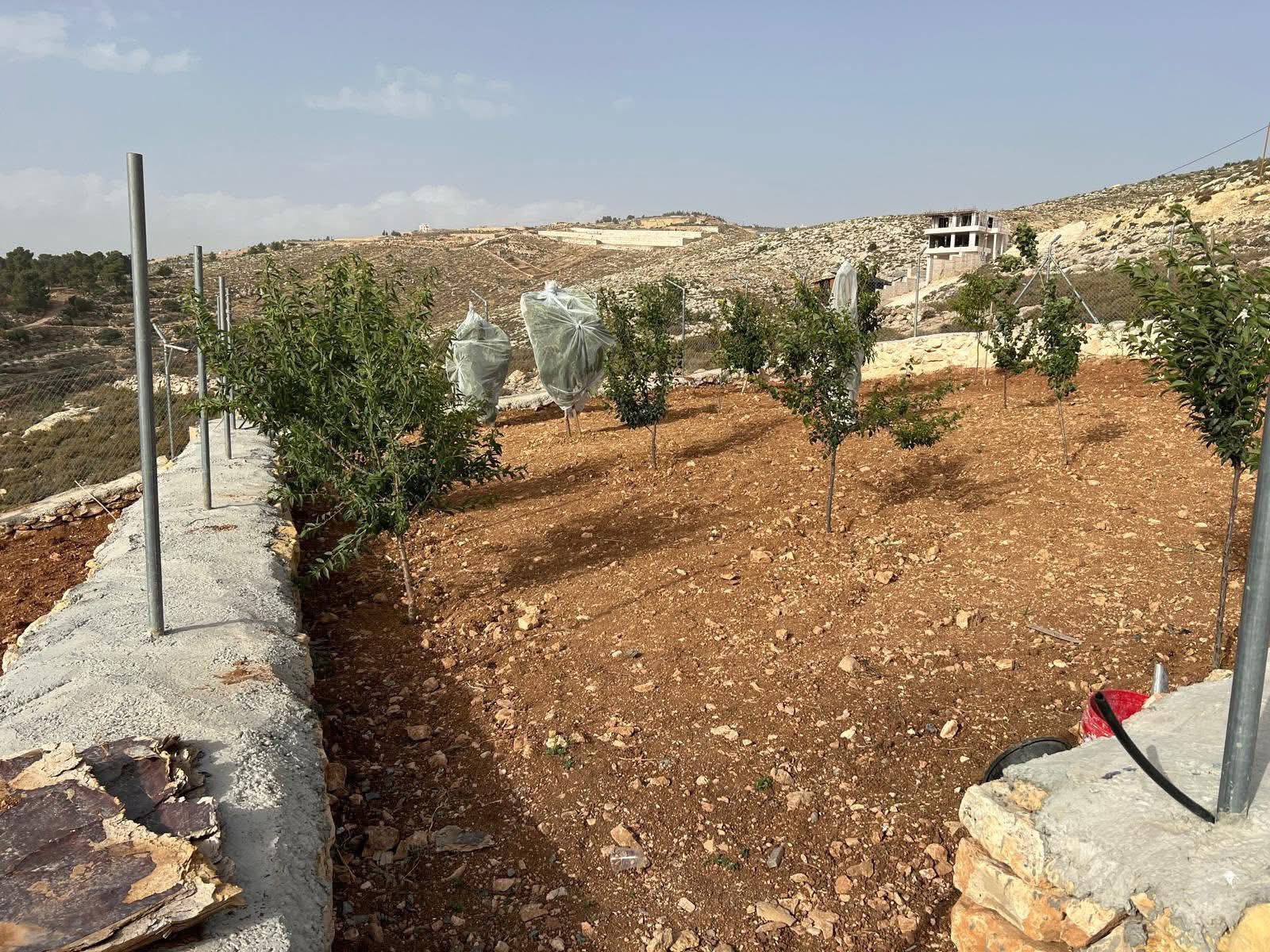 أرض للبيع 1 دونم