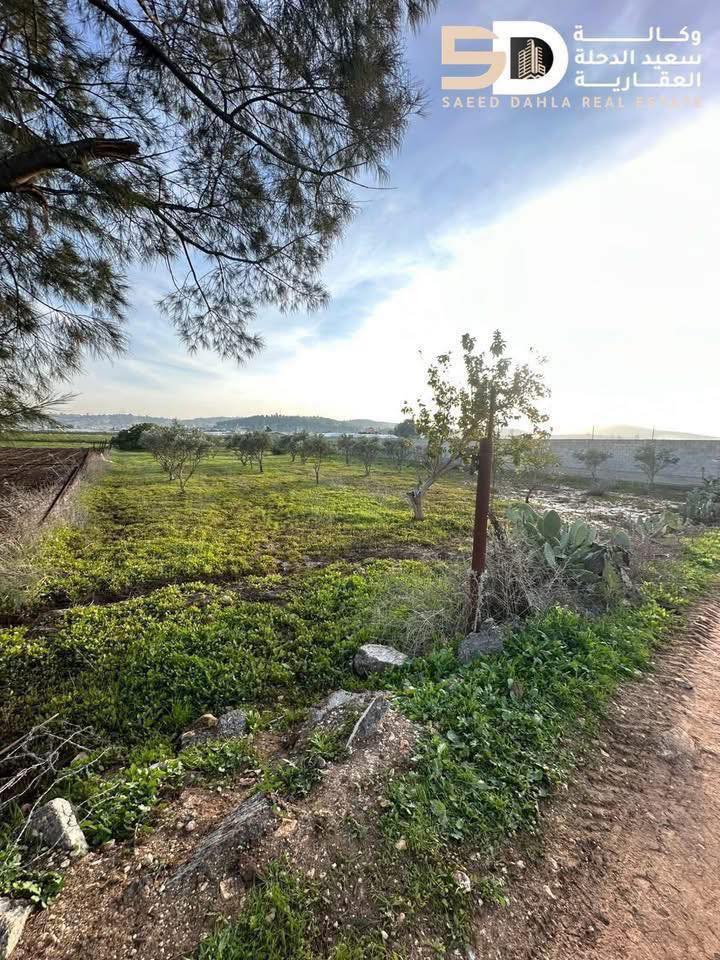 أرض للبيع 2 دونم