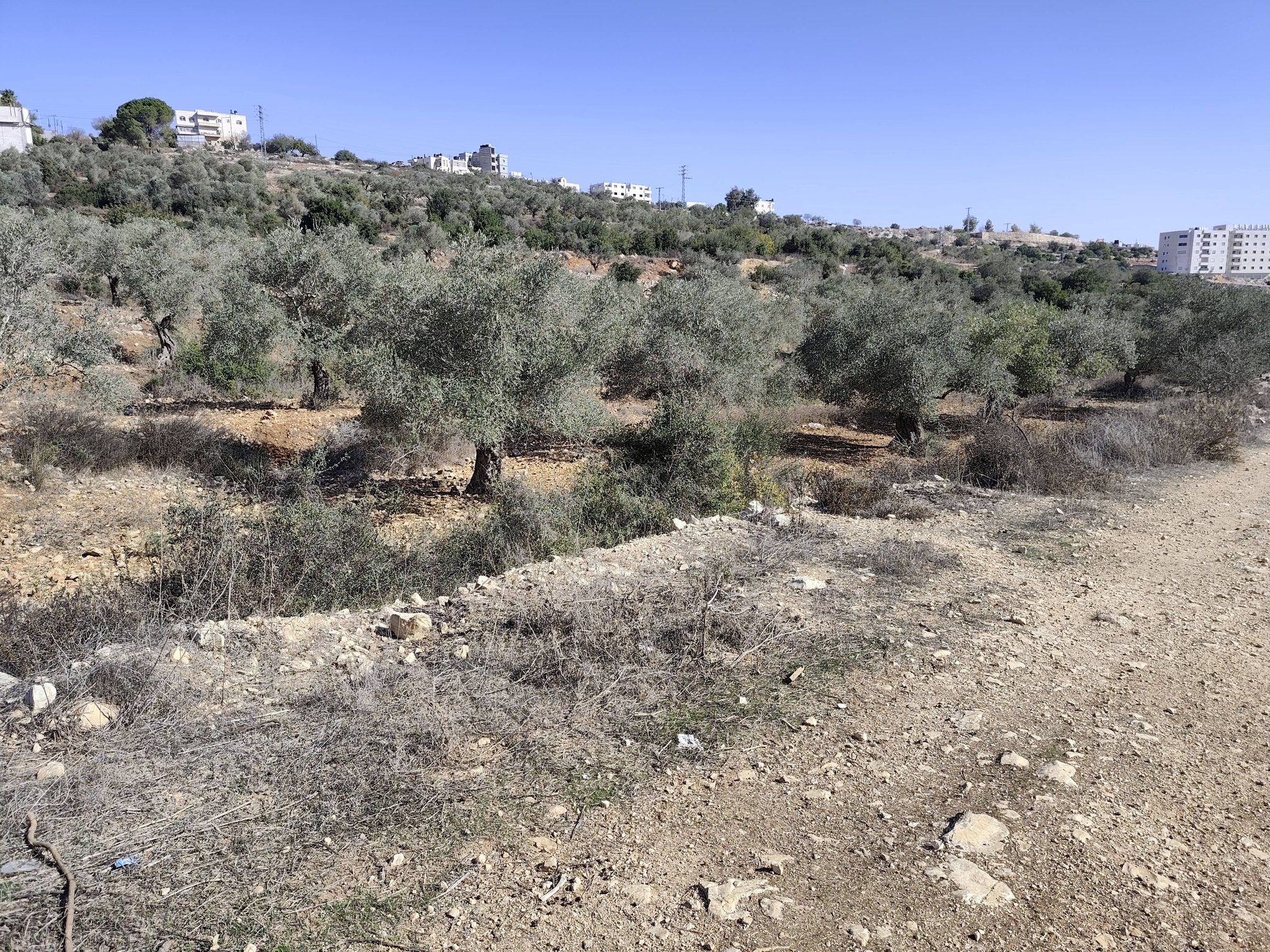 أرض للبيع 2650م