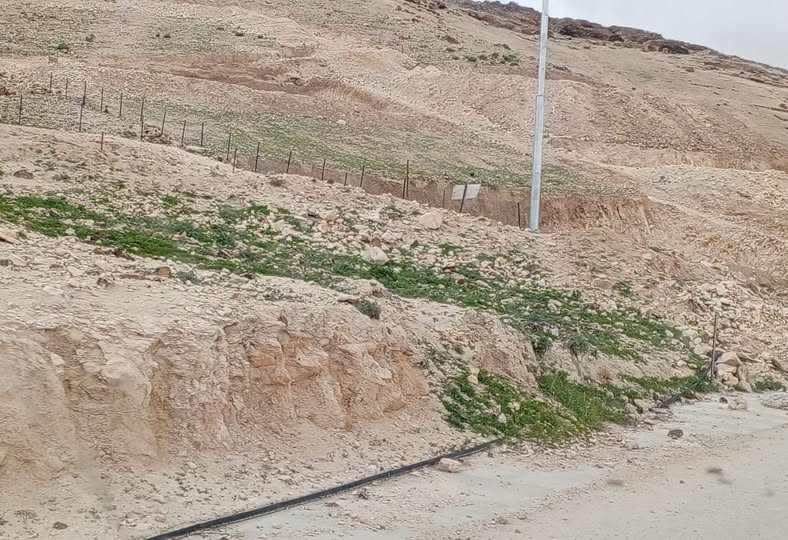 أرض للبيع 500 متر مربع