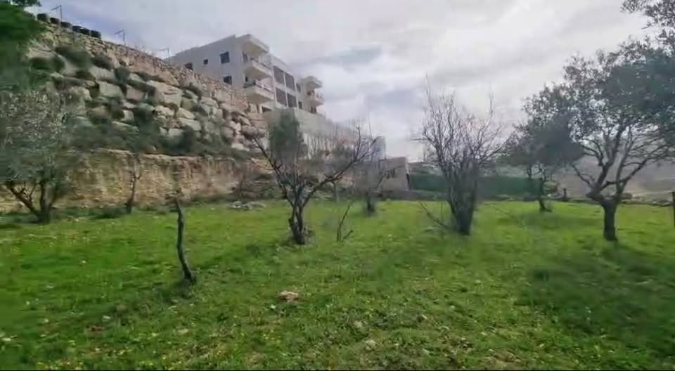 قطعتين أرض للبيع