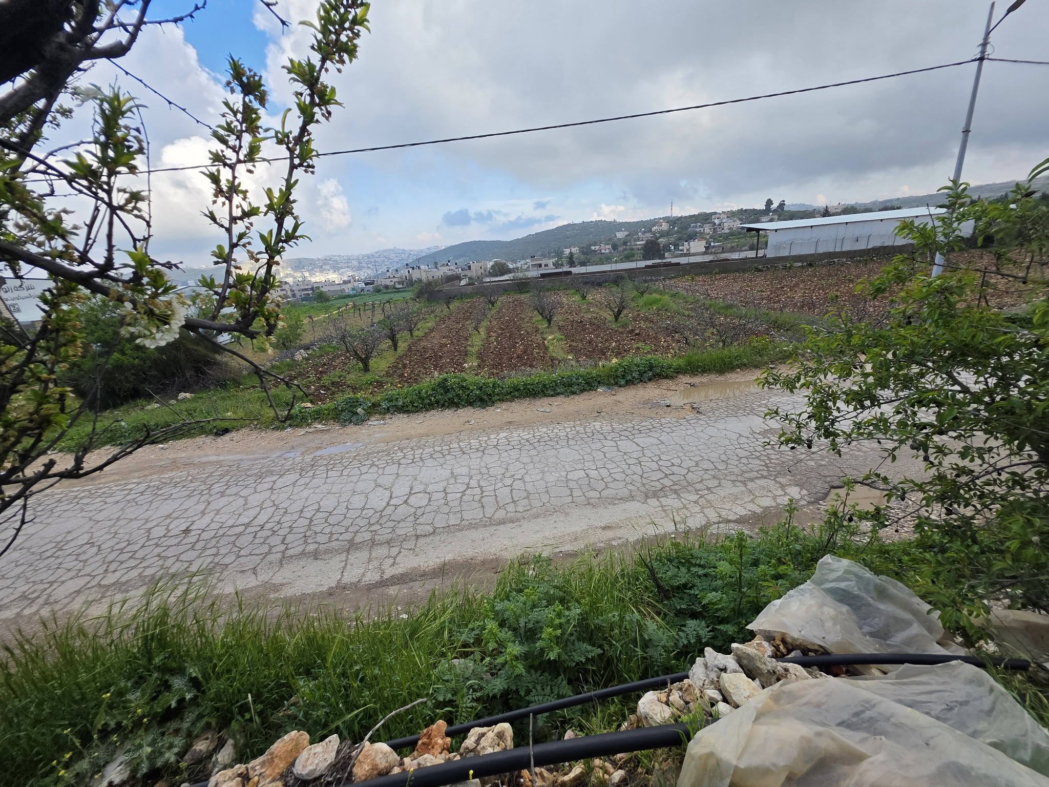 أرض للبيع 1260 متر مربع