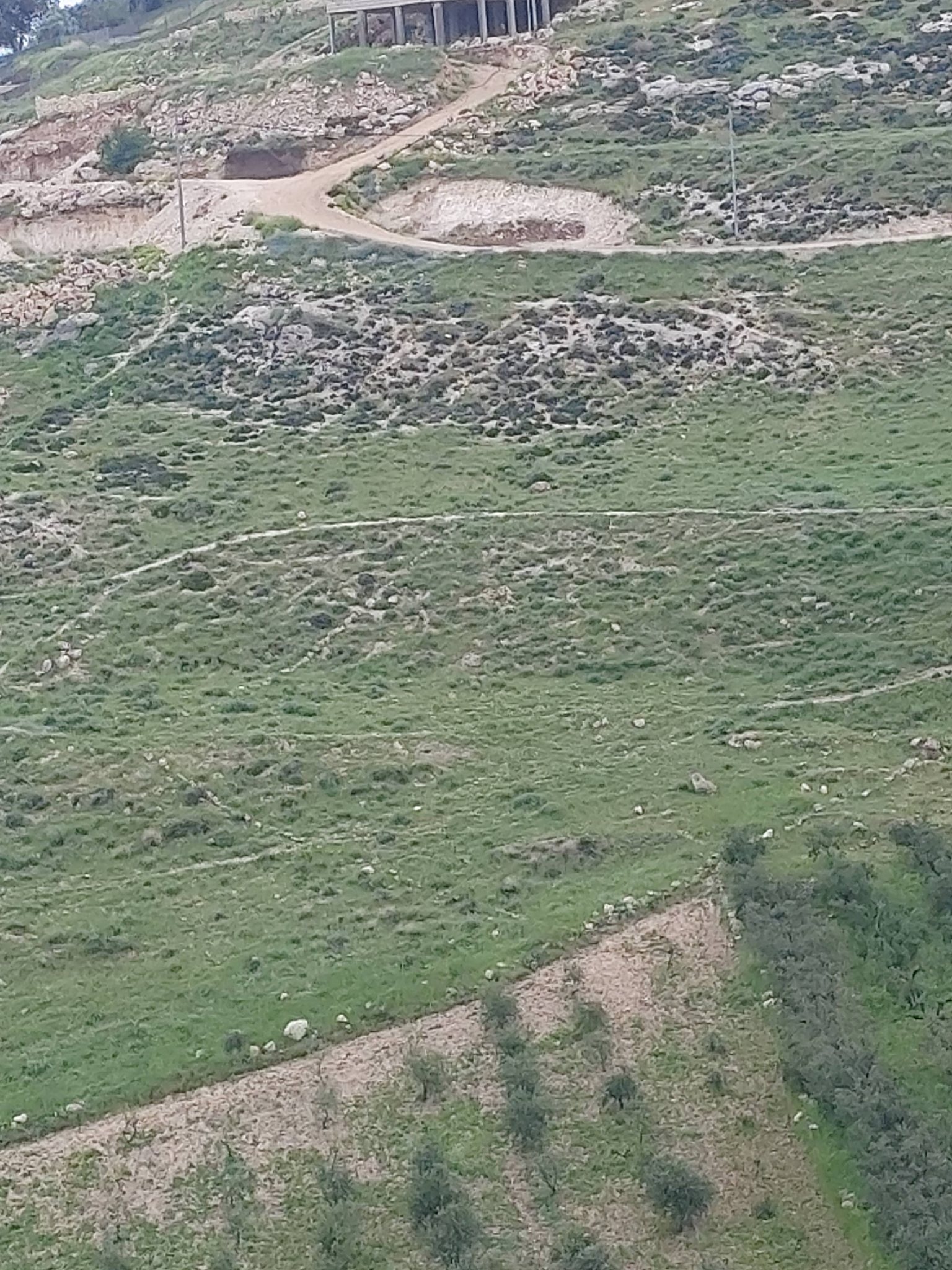 أرض للبيع 500 متر مربع