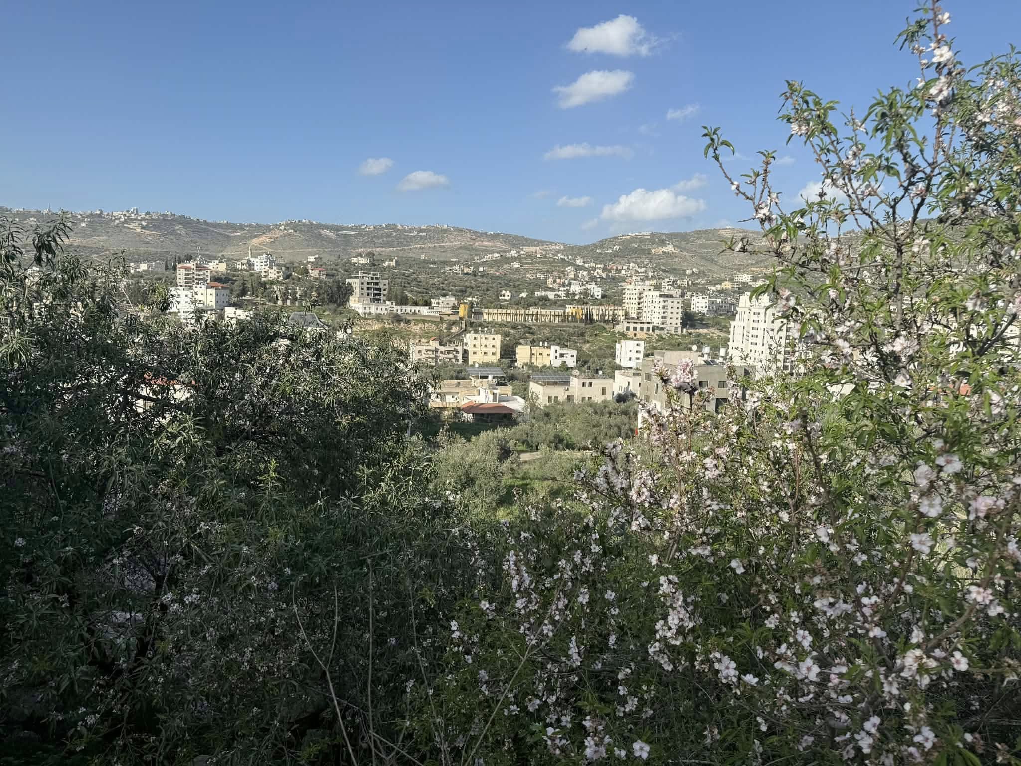 أرض للبيع 2.5 دونم