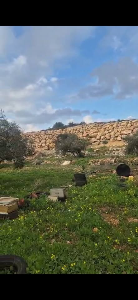 أرض للبيع 1000 متر مربع