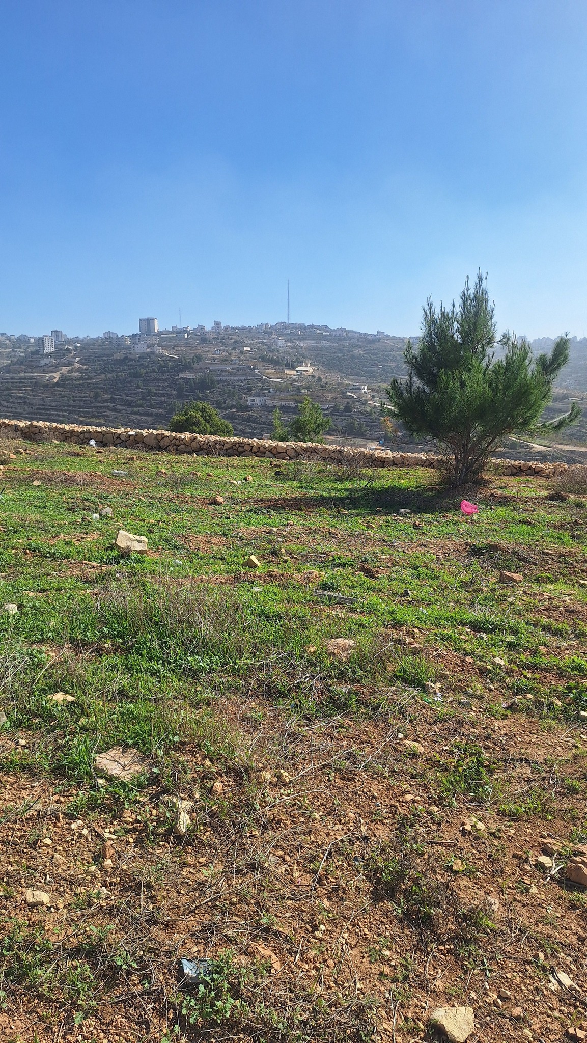 أرض للبيع 500متر مربع