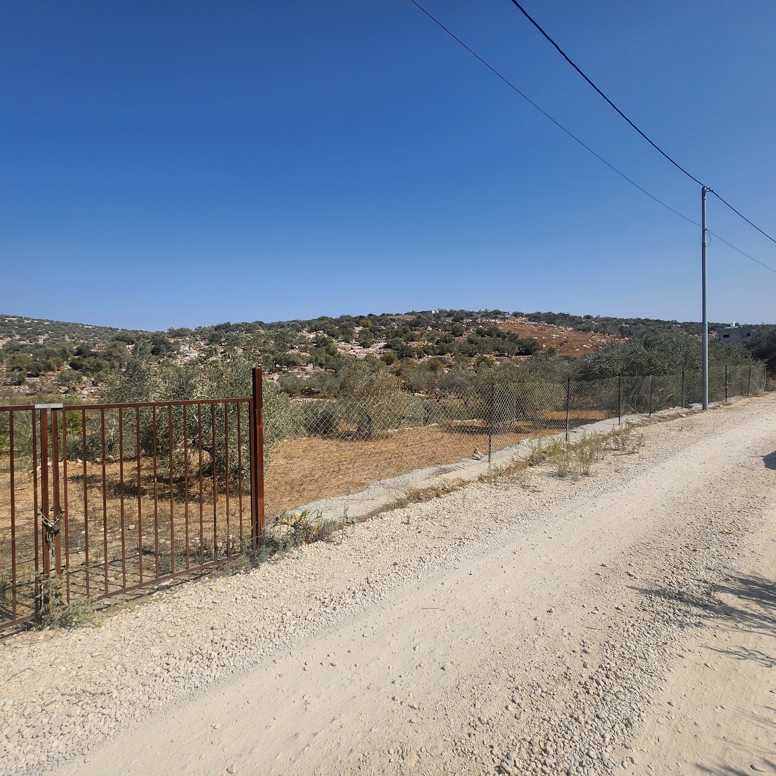 أرض للبيع 1000 متر