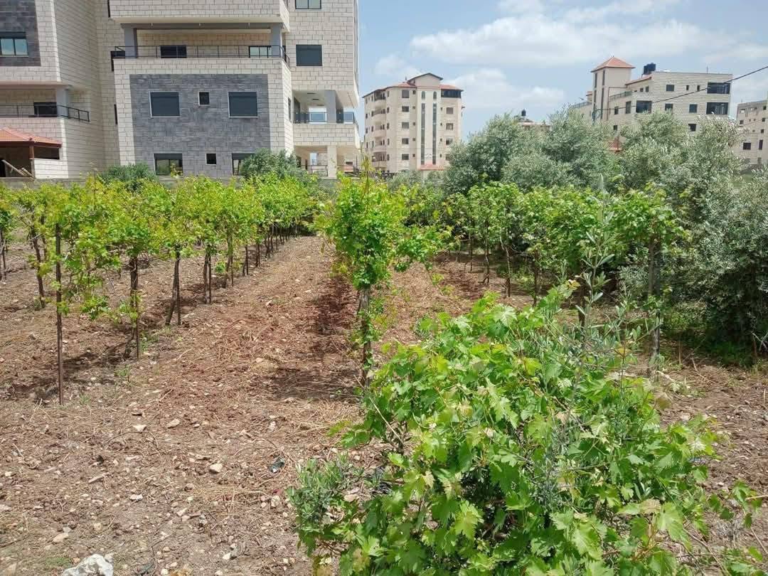أرض للبيع 771 متر مربع
