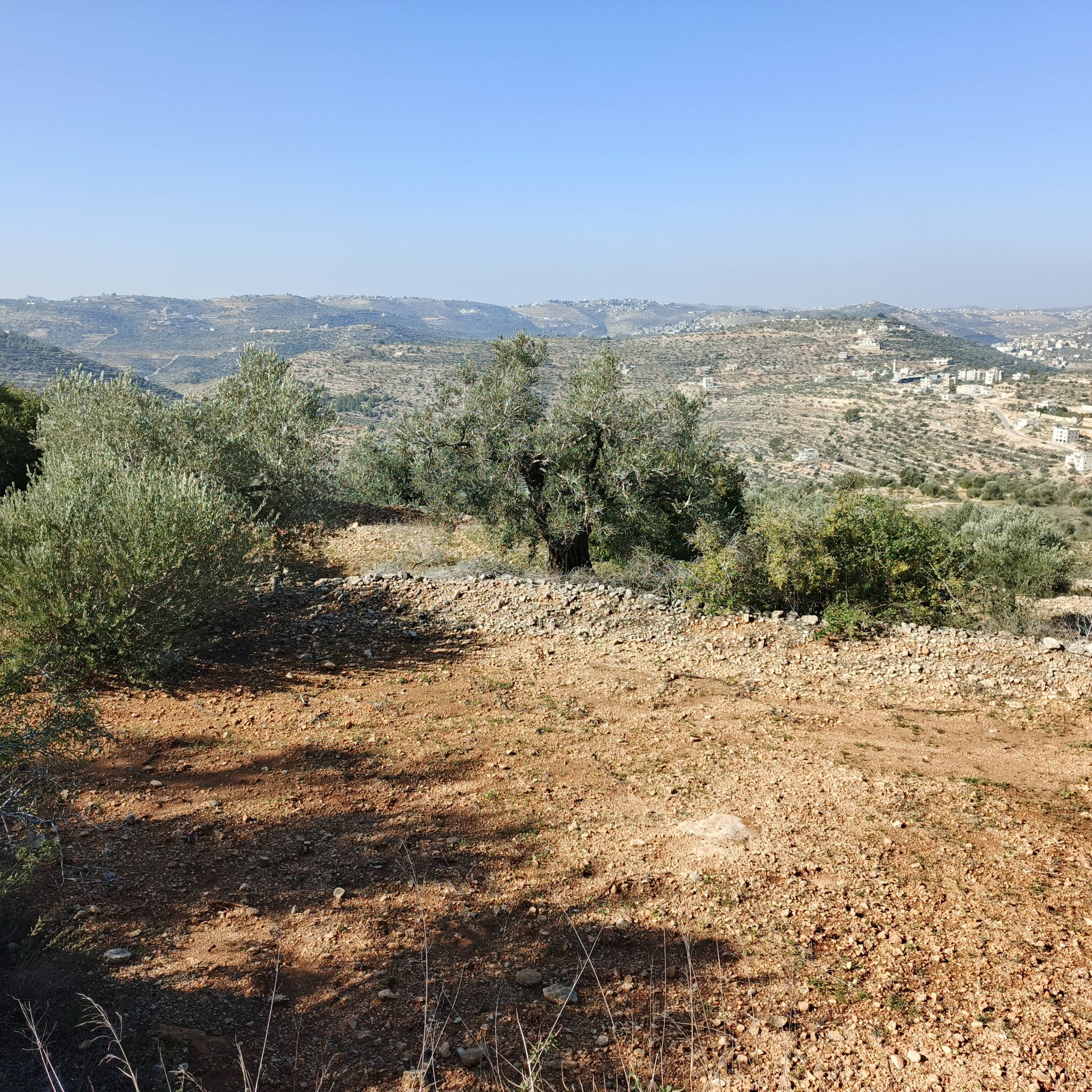 أرض للبيع 870متر مربع