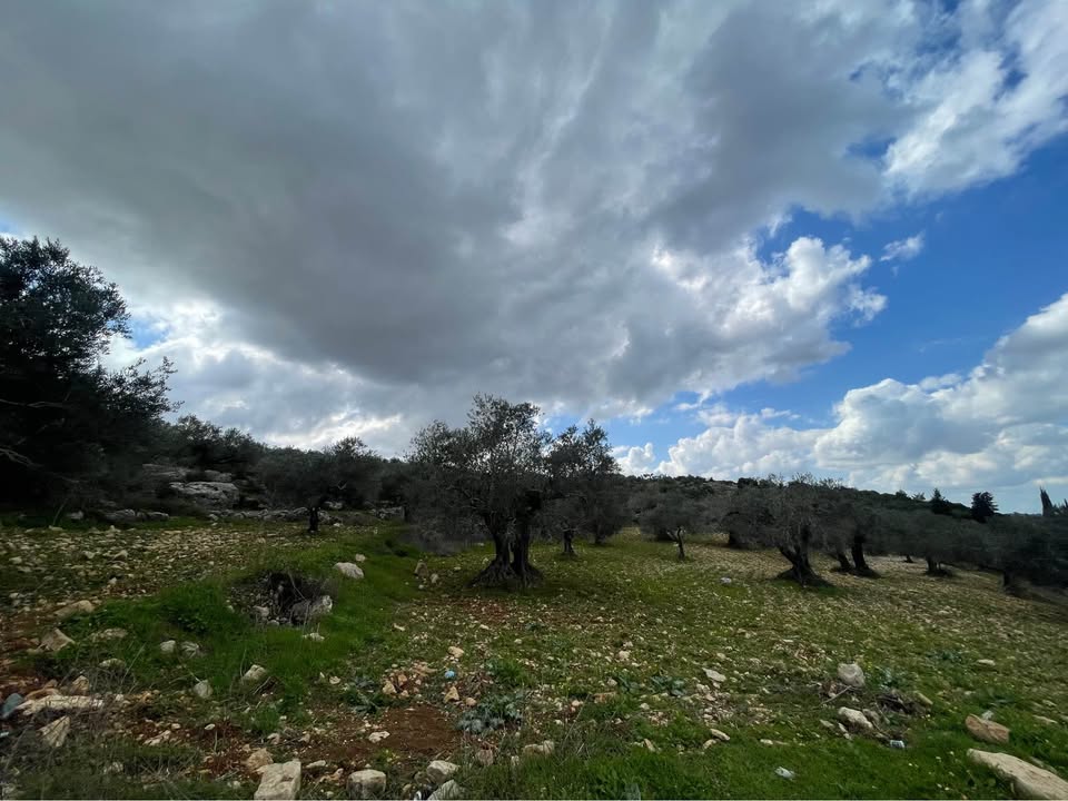 أرض للبيع 14 دونم