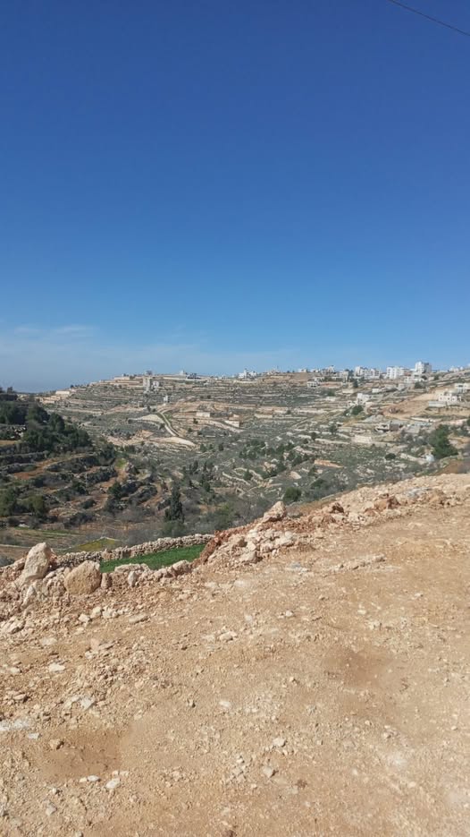 أرض للبيع 2 دونم