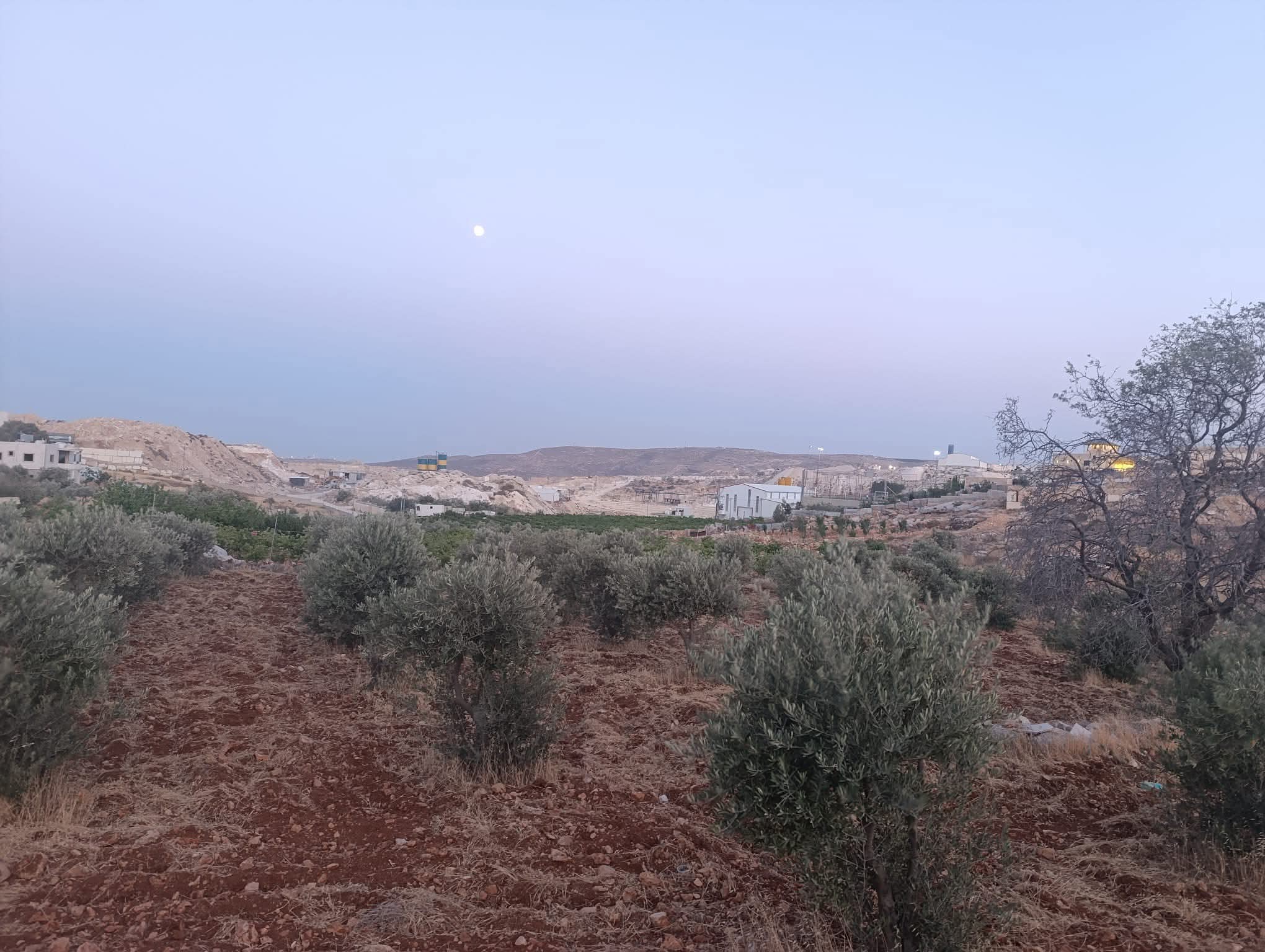 أرض للبيع 950 م²