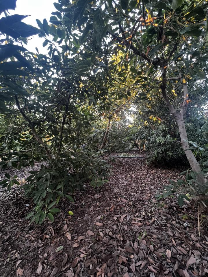 أرض للبيع 1400متر مربع